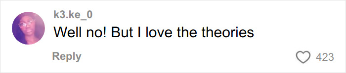 Comment on social media with a profile picture, expressing love for the theories about Timoth&eacute;e Chalamet as masked rapper EsDeeKid.