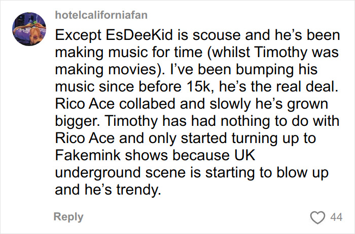 Screenshot of social media comment discussing fans convinced Timoth&eacute;e Chalamet is secretly masked rapper EsDeeKid.