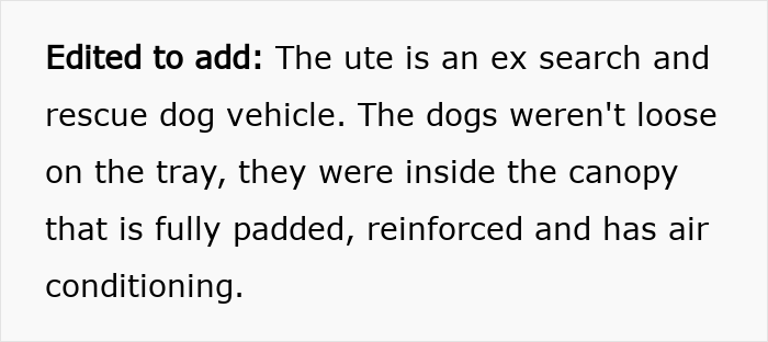 Ute vehicle with rescue dogs inside padded, reinforced canopy showing nurse prioritizing dogs and baby during car crash incident