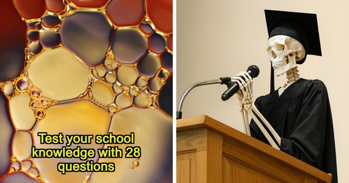 “Would You Be Able To Graduate?”: This 28-Question Test Will Reveal It All