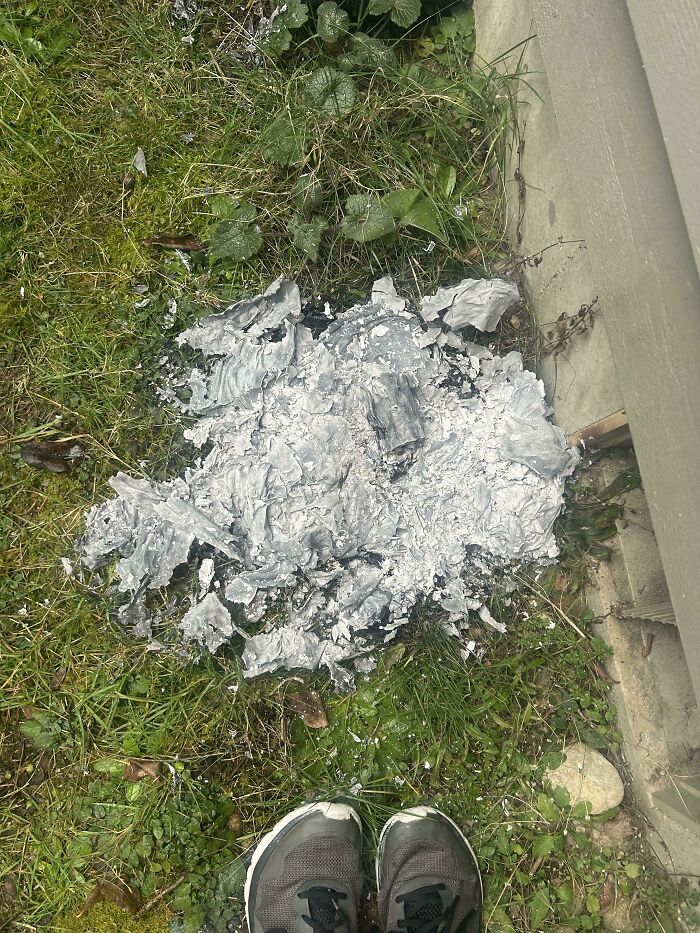 Dry, c*****d paint spilled on grass near a house wall, showing a frustrating family member moment to vent online.