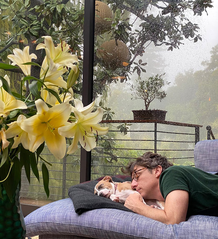 Man lying on couch cuddling a small dog near large yellow flowers and rainy window, reflecting Florence Pugh age gap with ex Zach Braff.