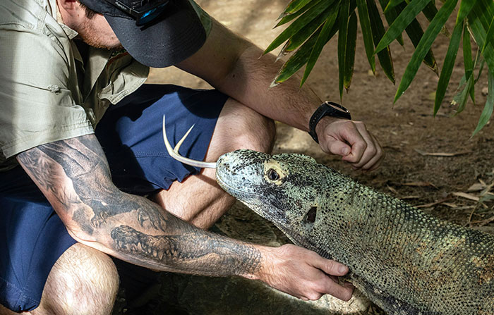 “The Zebras Are Ruthless”: 46 Unexpected Secrets Only Zoo Employees Know