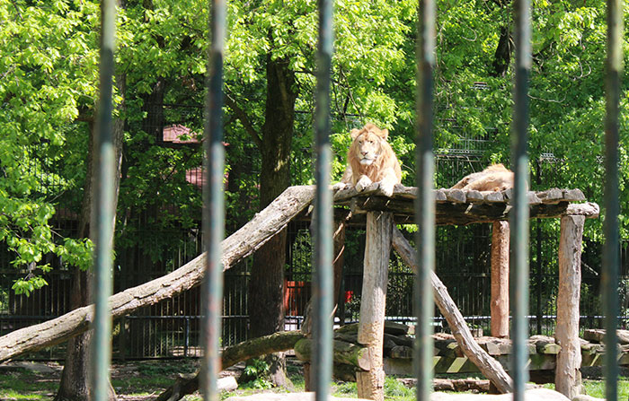 “The Zebras Are Ruthless”: 46 Unexpected Secrets Only Zoo Employees Know