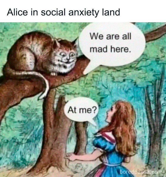 Alice in social anxiety land meme featuring the Cheshire Cat saying we are all mad here in a forest setting