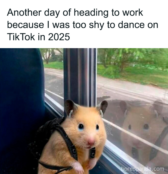 Hamster with a backpack looking out the window, a funny meme to brighten dark and cold winter days.