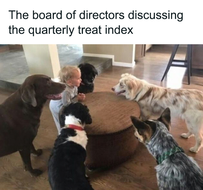 Toddler with five dogs sitting around a table, appearing to have a meeting in this cute dogs posts photo.