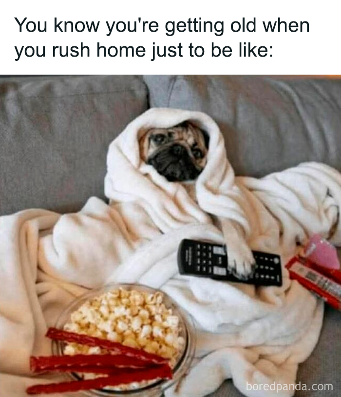 Pug wrapped in a blanket holding a remote with popcorn and snacks, a cute and sweet animal meme to smile at.