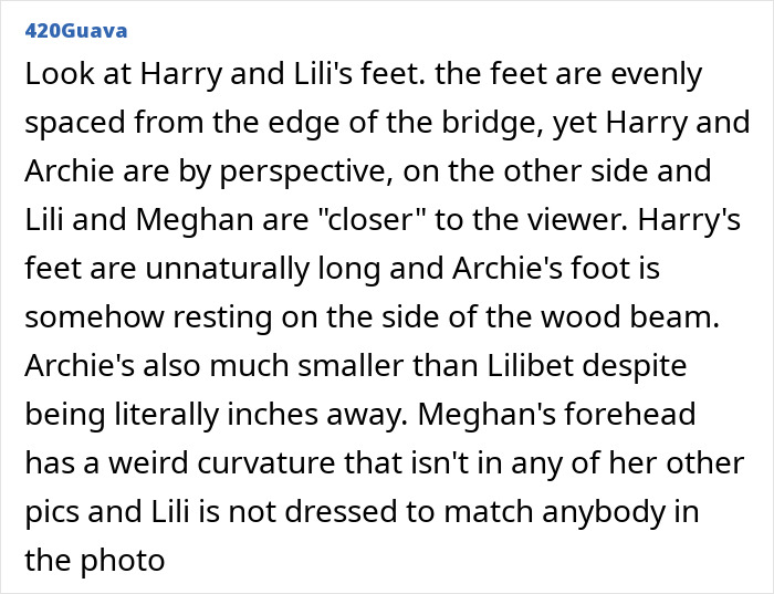 Prince Harry and Meghan Markle holiday snap criticized for manipulation after fans spot odd photo details.