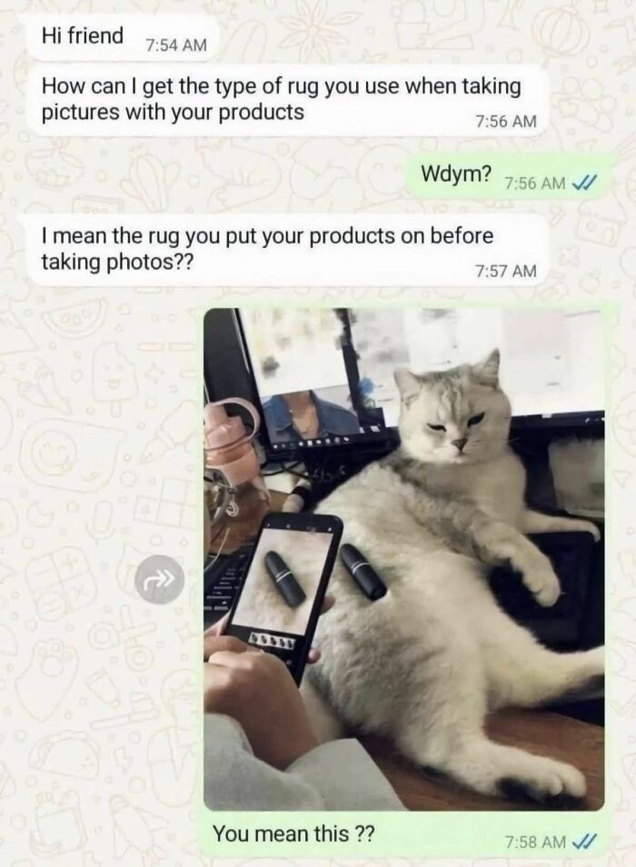Chat conversation showing a person photographing lipstick on a cat instead of a rug in cute and sweet animal memes.