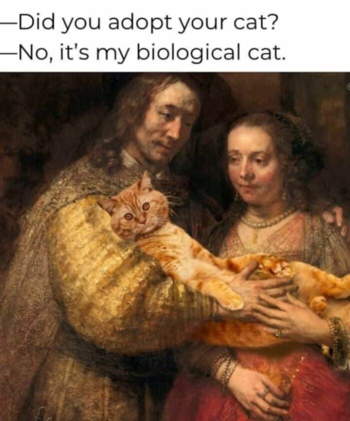A vintage-style painting humorously edited with a large orange cat and text about adopting a biological cat, cute animal memes.