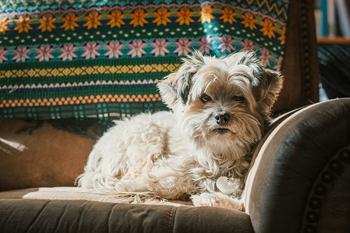 23YO Upset Family Doesn&rsquo;t Follow Rules To Help Her Manage Her Allergies, Moves Out And Mom Panics