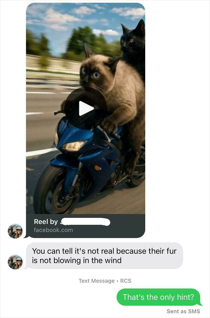 Two cats riding a motorcycle in a humorous text conversation about a hilarious viral video.
