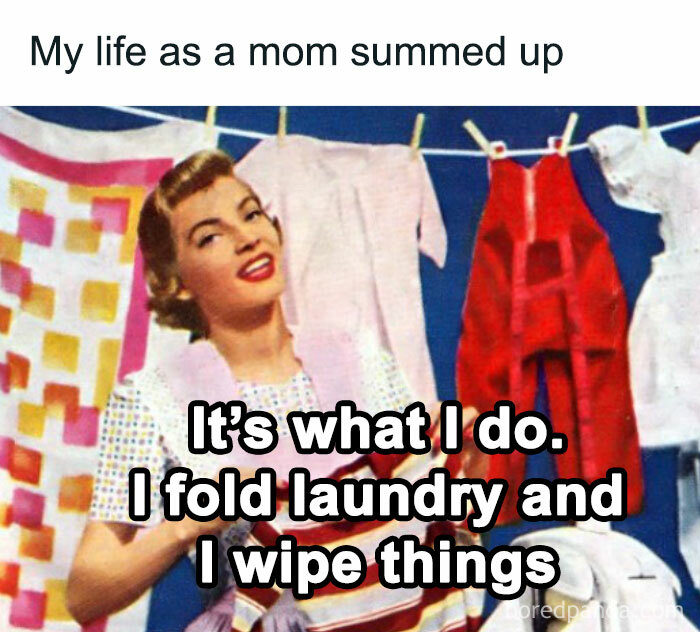 Vintage mom folding laundry with text about chores, a funny and savage parenting meme about daily life tasks.
