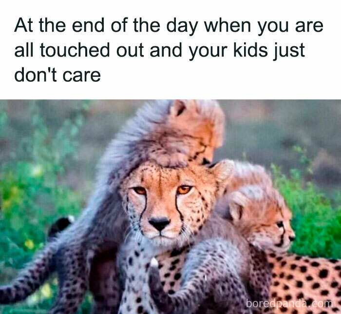 Funny and savage parenting meme showing a tired cheetah parent with clingy cheetah cubs symbolizing overwhelmed parenting moments.