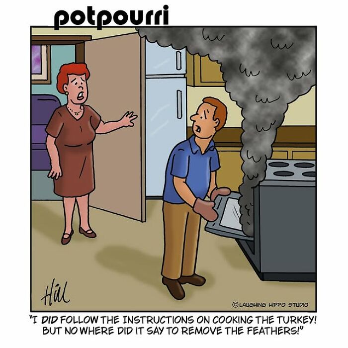 One-panel comic by Laughing Hippo Studio showing a man surprised by smoke coming from an oven while cooking a turkey.