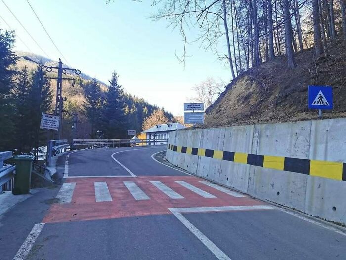 Road with unusual crosswalk design and warning signs in a forested Eastern Europe rural area.