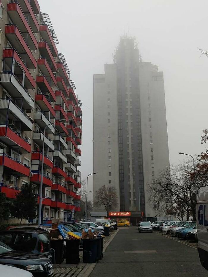 Foggy urban scene with Eastern Europe apartment buildings, parked cars, and visible trash bins along the street.