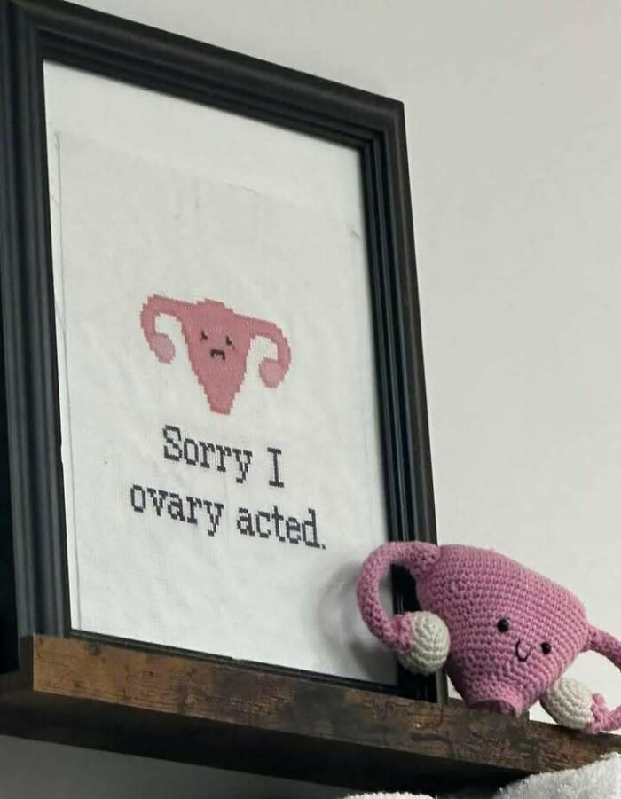 Framed cross-stitch and crocheted uterus doll with a funny pun, part of hilarious memes to relieve stress.