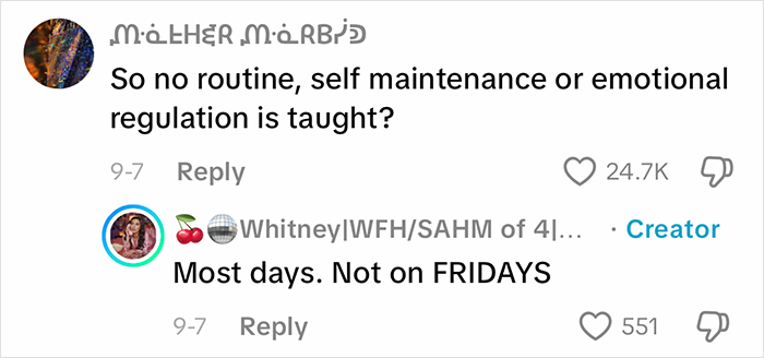 Commenters debate parenting choices in a viral homeschool clip, questioning lack of routine and emotional regulation teaching.