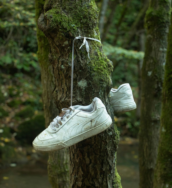 Pair of worn white shoes hanging by laces from a moss-covered tree in the woods, evoking sleepless nights outdoors.