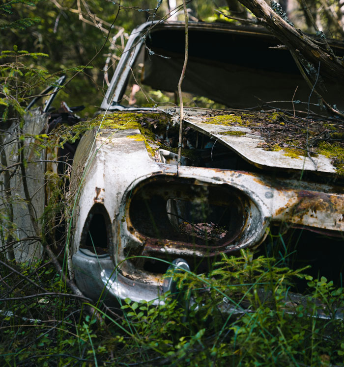 Abandoned rusty car overgrown with moss and plants in dense woods, evoking a mysterious sleepless forest experience.