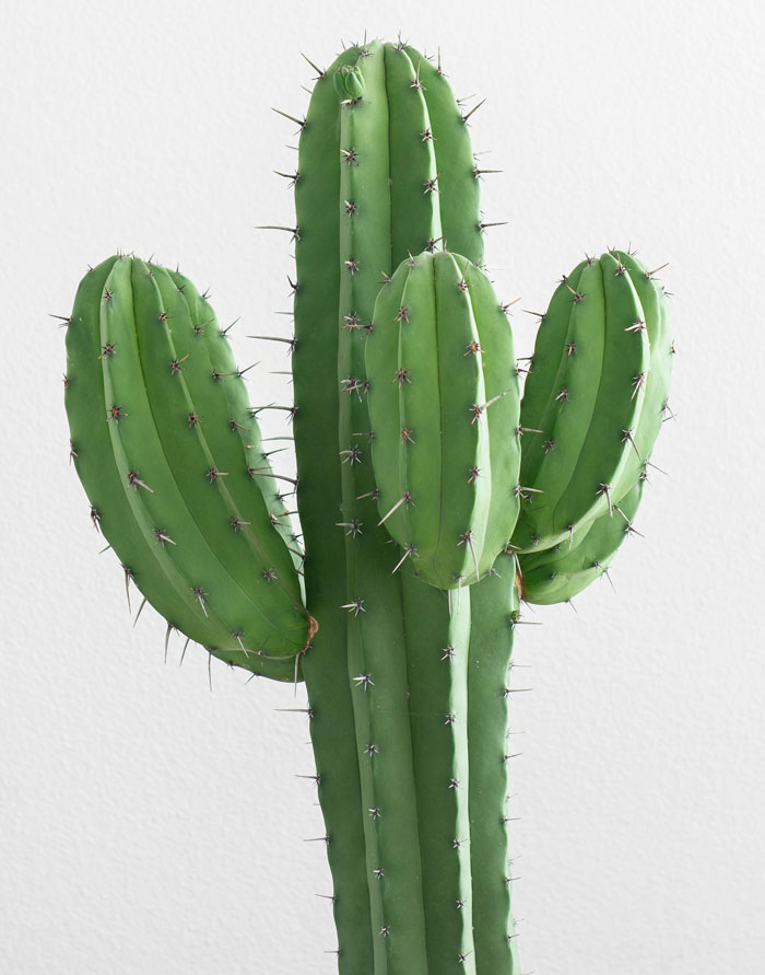 Parents Had To Take Time To Recover After These 61 Hilarious Roasts From Their Kids