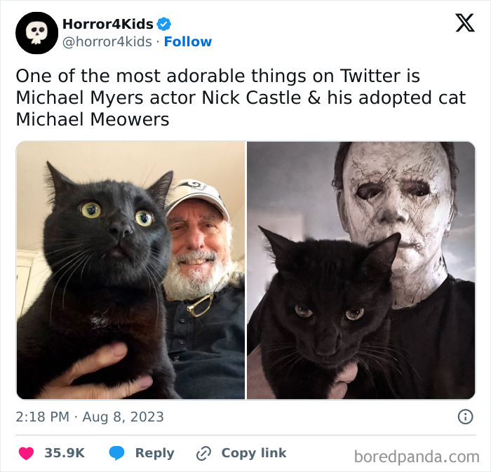 Black cat with wide eyes held by an older man and wearing a mask, showcasing cats being weird little guys.