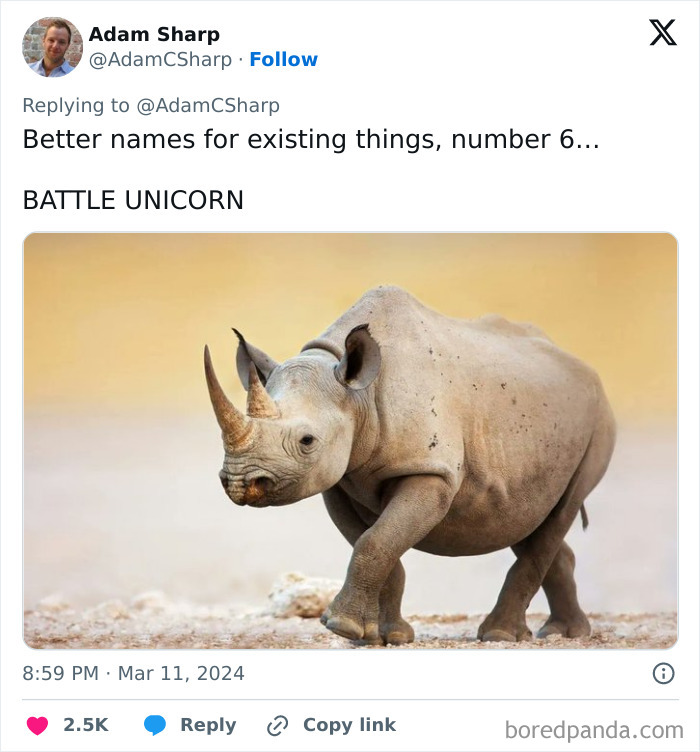 Rhino close-up in natural habitat, featured in funny memes to brighten dark and cold winter days with humor.