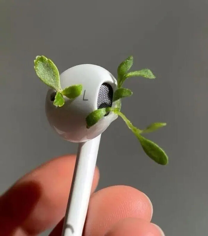 White earbud held between fingers with green plant sprouts growing from the speaker, creating a trippy picture effect.