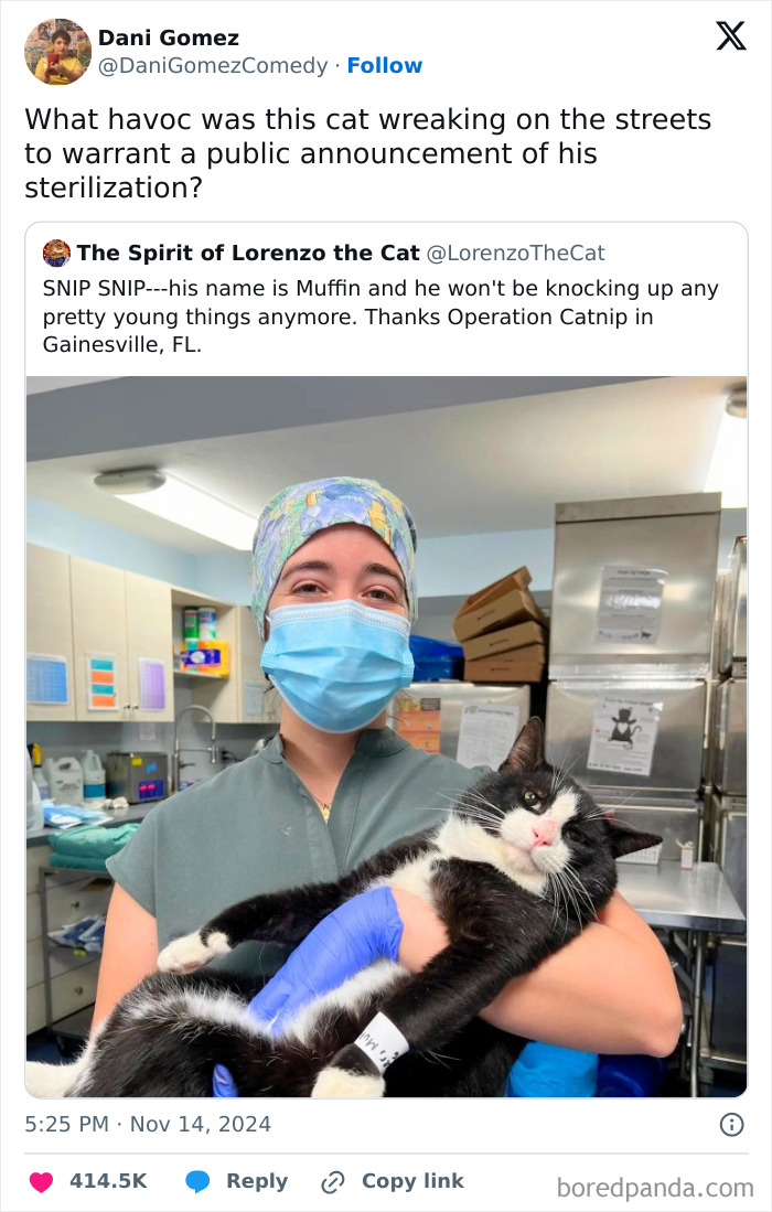 Veterinarian holding a black and white cat after sterilization, featured in cute and sweet animal memes collection.