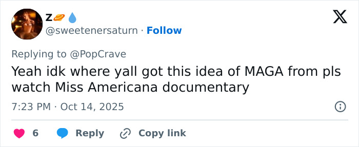 Screenshot of a social media comment discussing conspiracy claims related to Taylor Swift and coded white-nationalist messages.