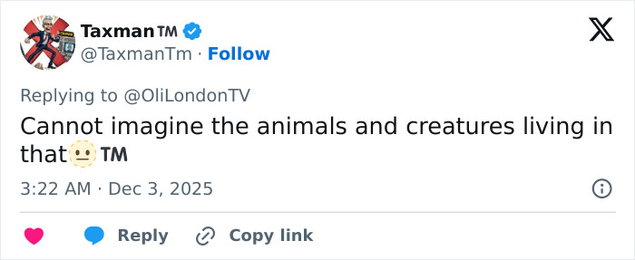 "A New Home For Lice": Gwendoline Christie’s Bizarre Hair Look Hijacks Fashion Awards "A New Home For Lice": Gwendoline Christie’s Bizarre Hair Look Hijacks Fashion Awards