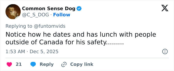 Tweet from Common Sense Dog commenting on a public figure's international meetings for safety, posted December 5, 2025. Tweet from Common Sense Dog commenting on a public figure's international meetings for safety, posted December 5, 2025.