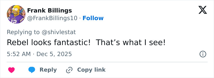 User comment praising Rebel Wilson&rsquo;s photo with Ariana Grande gaining attention for bizarre detail noticed by people online