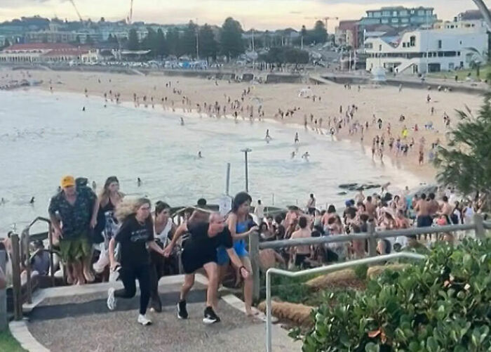 Crowded Bondi Beach with people walking up stairs, related to single mom's tone deaf GoFundMe controversy after attack.