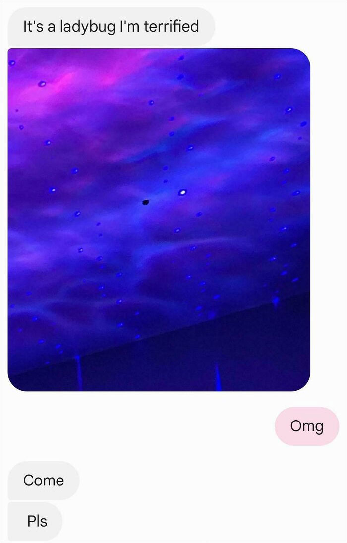 Text conversation with a photo of a small dark object on a purple ceiling, described as a terrifying ladybug.