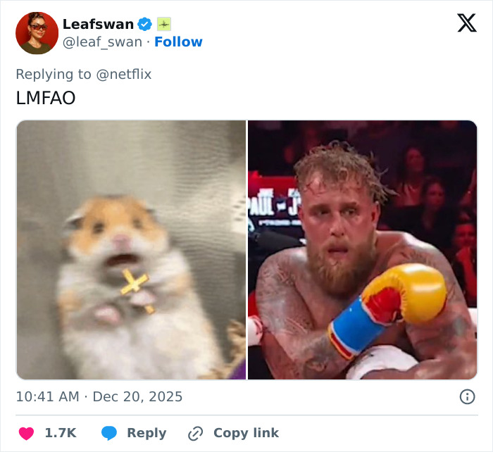 Split image showing a shocked hamster and boxer Jake Paul with a broken jaw during a fight, highlighting internet punchline.