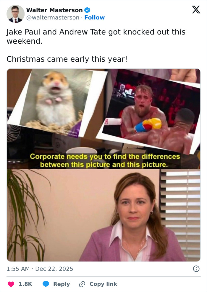 Meme comparing a confused hamster and Jake Paul&rsquo;s broken jaw boxing moment with a woman asking to find differences.