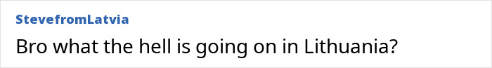 Comment questioning the situation in Lithuania amid talks about lawmaker&rsquo;s cat consent law affecting national broadcaster head.
