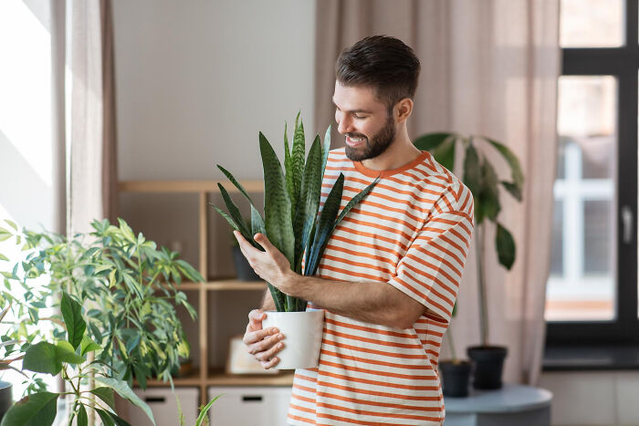 Young man holding a potted plant indoors, surrounded by greenery, capturing a bizarre neighbor’s window glimpse moment.