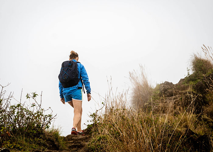 Person hiking alone in a remote and isolated place surrounded by fog and wild vegetation, evoking creepy and mysterious vibes