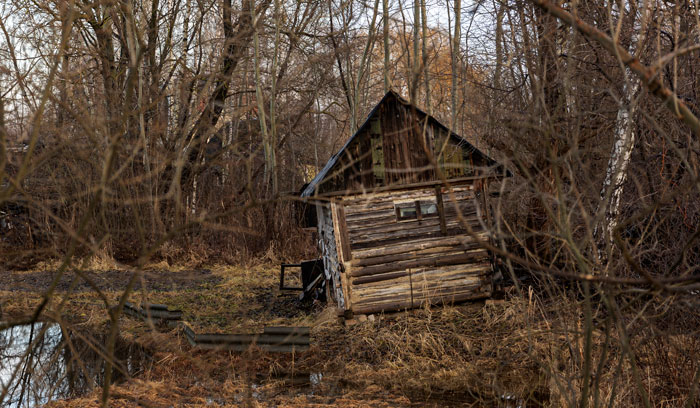 Rustic wooden cabin surrounded by bare trees in the woods, evoking the feeling of people who couldn't sleep after spending time outdoors.