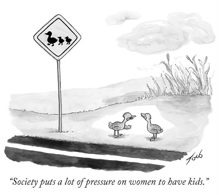One-panel comic by Tom Toro showing ducks beside a road sign, humorously addressing social pressure on women and parenting.