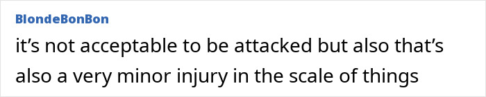 Comment discussing the acceptability of a minor injury from a Christmas nanny kid bite incident.