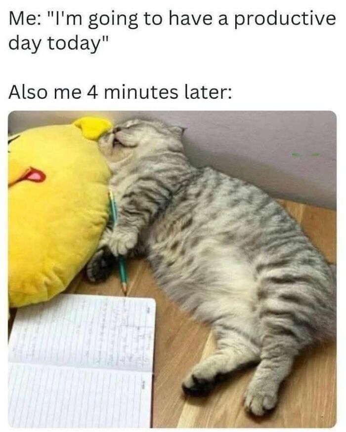 Cat lying on a wooden floor with a pencil and notebook beside it, a cute animal meme to give you a reason to smile.
