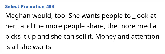 Text excerpt discussing Meghan Markle's desire for attention and media sharing in relation to Prince Harry and Meghan Markle's holiday snap manipulation controversy.