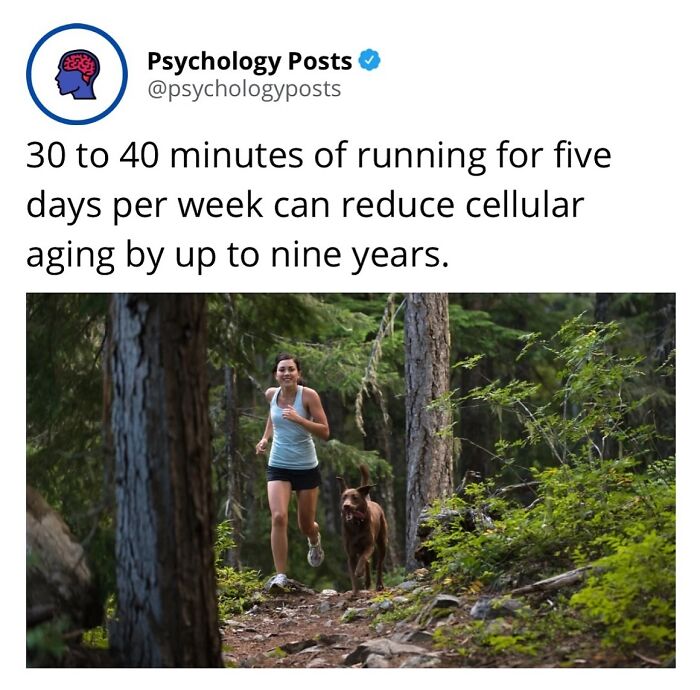 Woman running with dog on forest trail, illustrating psychology facts about exercise reducing cellular aging.