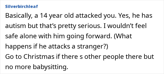 Comment discussing concerns about a 14-year-old kid bite incident involving a Christmas nanny and safety precautions.