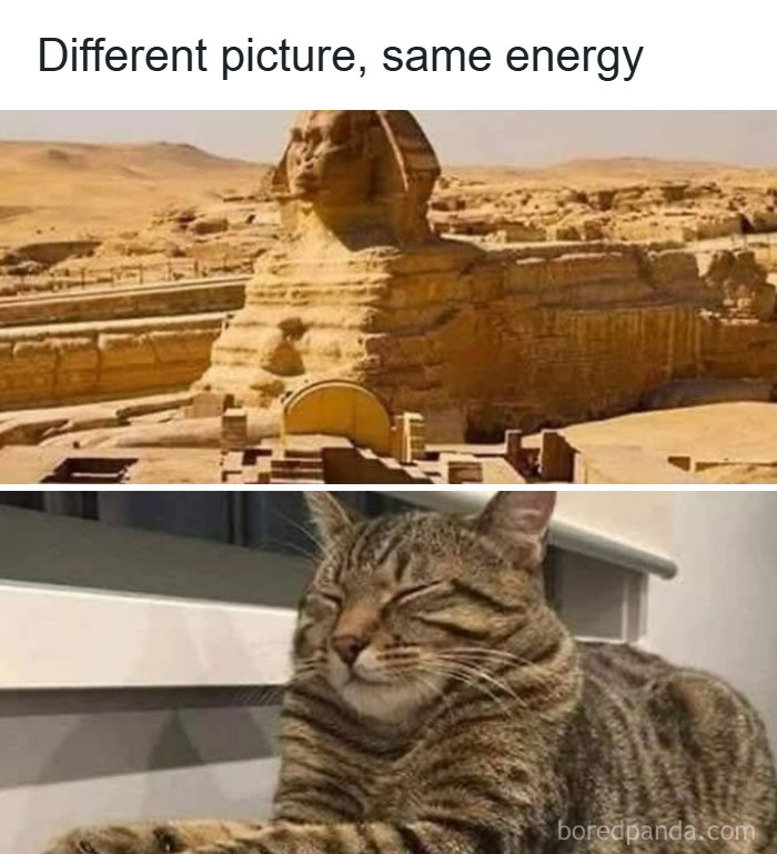 Comparison meme showing the Great Sphinx of Egypt above a relaxed tabby cat, highlighting cat memes for holidays.